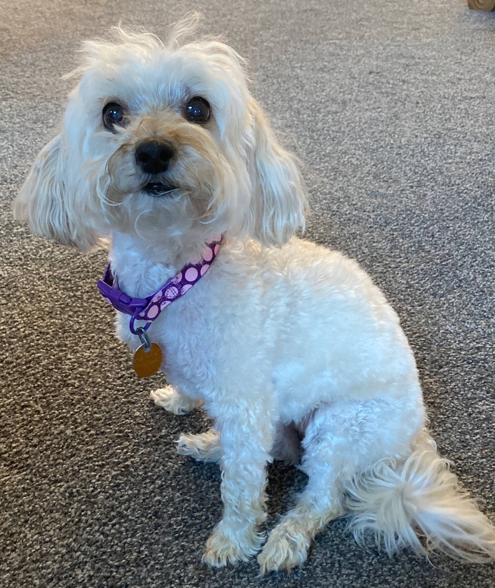 Meet Mylee