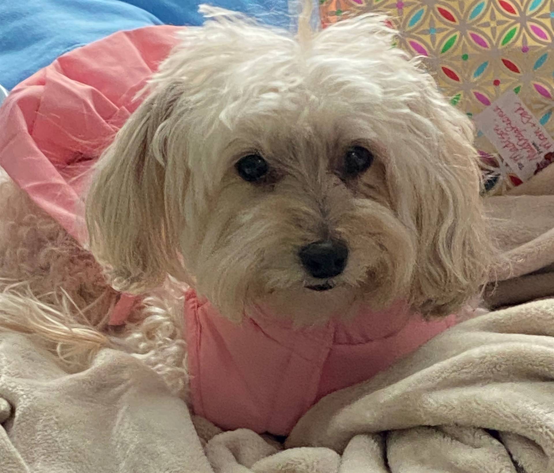 Meet Mylee
